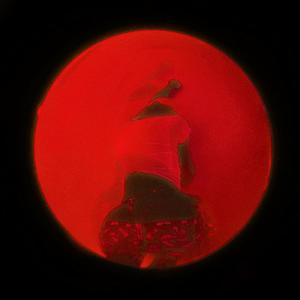 Crazy Boy Remix (feat. Akil Elijah) (Explicit)