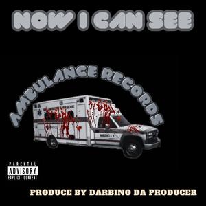 NOW I SEE (feat. DARBINO DA PRODUCER) [Explicit]