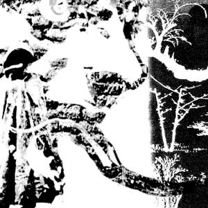 dead internet (Explicit)