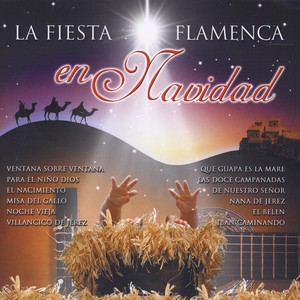 La Fiesta Flamenca En Navidad