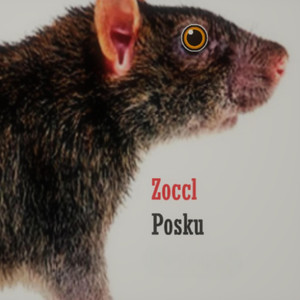 Zoccl (Explicit)