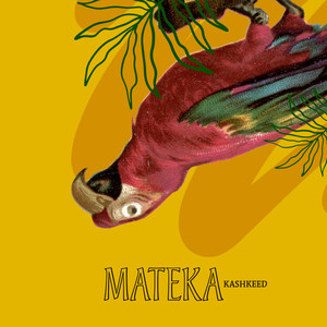 Mateka