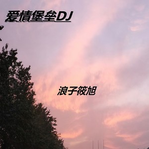 社会摇 (DJ版)