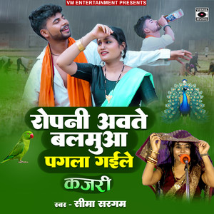 Ropani Aavte Balamua Pagala Gaile Kajari