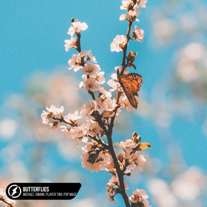 Butterflies (Acoustic)