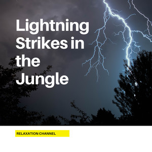 Lightning Strikes in the Jungle