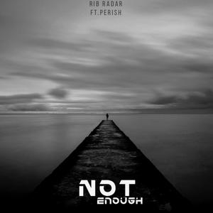 Not Enough (Explicit)