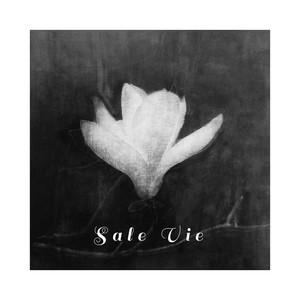 Sale vie (Explicit)