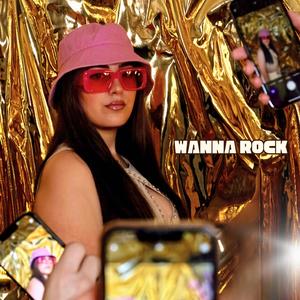 Wanna Rock