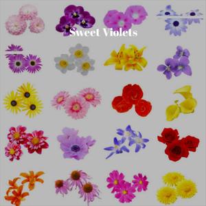 Sweet Violets