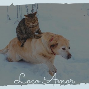 High Priestess(Feel Like Flying) (Tropical Deep Mix)