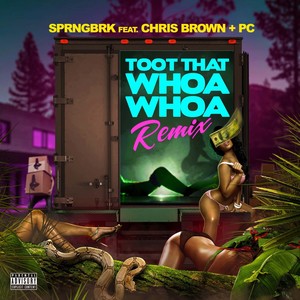 Toot That Whoa Whoa (feat. Chris Brown & PC) [Explicit]