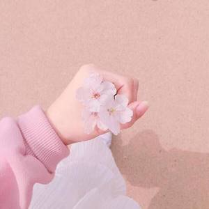 如果我们不曾相遇