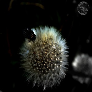 Universe (Marc Zimmermann Remix)