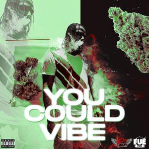 You Could Vibe (Explicit)