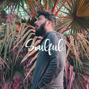 Soulful (Explicit)