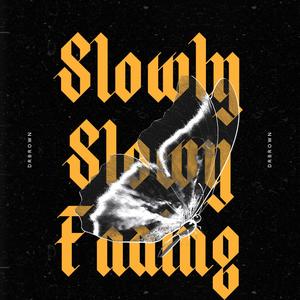 Slowly Fading (Explicit)