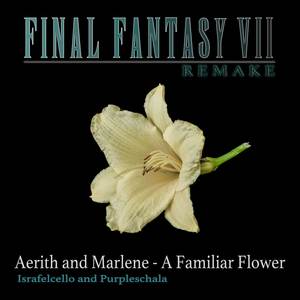 Aerith and Marlene - A Familiar Flower (from "Final Fantasy VII Remake")