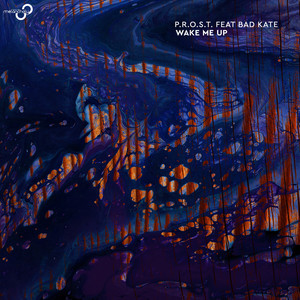 Wake Me Up (Original Mix)