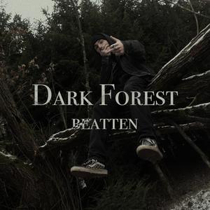 dark forest (Explicit)