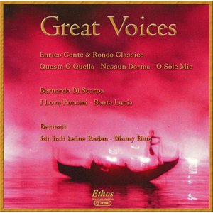 Great Voices (Reworks) (宏亮的嗓音)