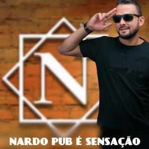 NARDO PUB É SENSAÇÃO (feat. Mc Nt do Mandelão)