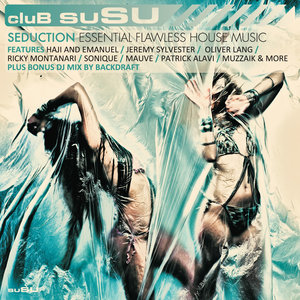 Continuous DJ Mix