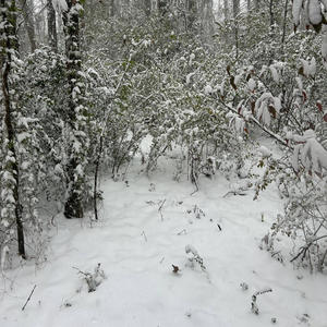 BLOODY MARY (feat. Mandeaux) (Explicit)