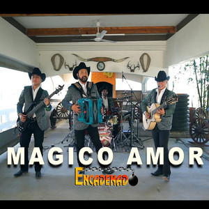 Magico Amor (En Vivo)