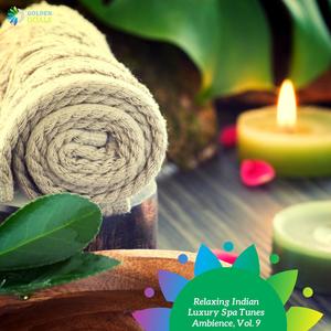 Relaxing Indian Luxury Spa Tunes Ambience, Vol. 9