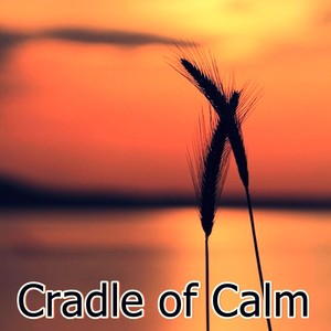 Cradle of Calm