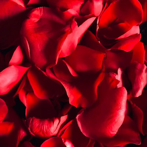 Deshawn Visionz - Distracted (Explicit)