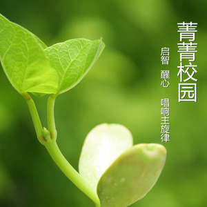 我们从这里起航