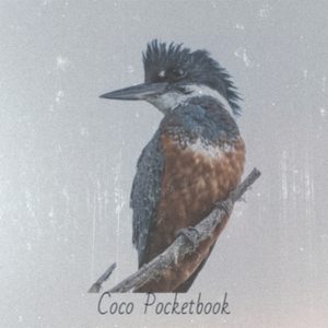 Coco Pocketbook