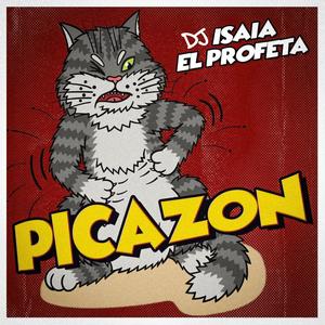 Picazon