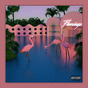 Flamingo City Groove (Explicit)