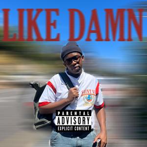 Like Damn (Radio Edit)