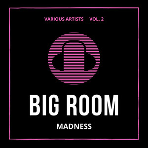 Big Room Madness, Vol. 2