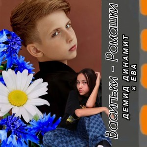 Васильки - Ромашки