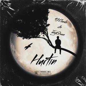 Hurtin (feat. JayQwan) (Explicit)