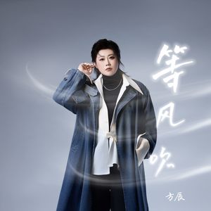等风吹封面
