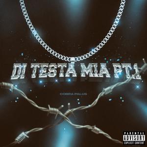 Di Testa Mia Pt. 1(feat. PALUS) (Explicit)