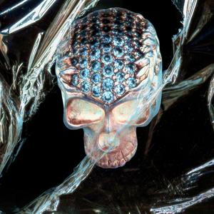 ALL THE YOUTH FOR THE CROWN (feat. jonathan chua) (Explicit)