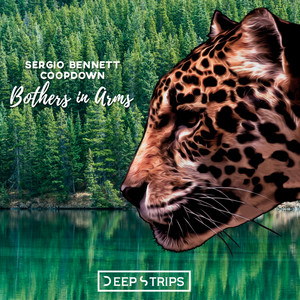 Brothers In Arms (Original Mix)