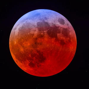 Trance (feat. tobe kobe) (Explicit)