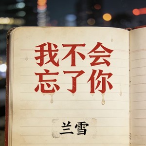 我不会忘了你