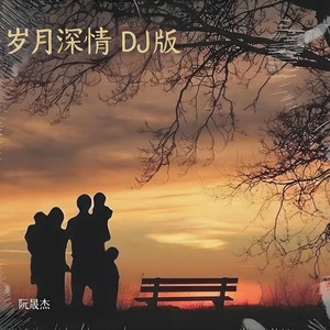 岁月深情 (DJB版伴奏)