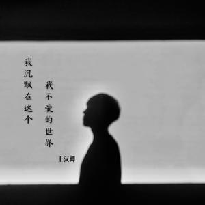 我沉默在这个我不爱的世界