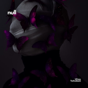 Null (Ice Version)