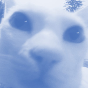 Magic Powder (Sped Up)